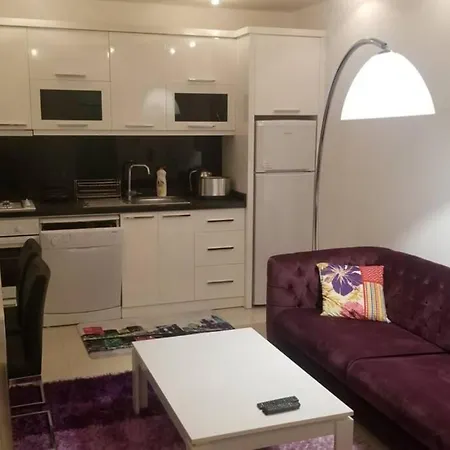 Modern And Cozy 1 Bedroom Apartment *