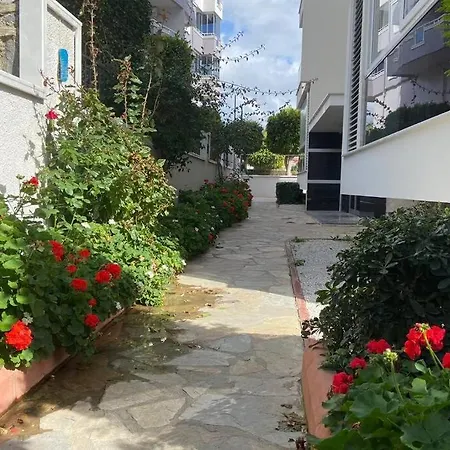 Modern And Cozy 1 Bedroom Apartment *